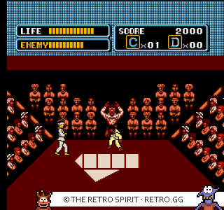 Game screenshot of The Karate Kid