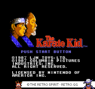 Game screenshot of The Karate Kid