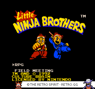 Game screenshot of Little Ninja Brothers