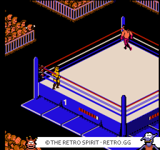 Game screenshot of WWF WrestleMania Challenge