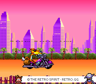 Game screenshot of Chester Cheetah: Wild Wild Quest