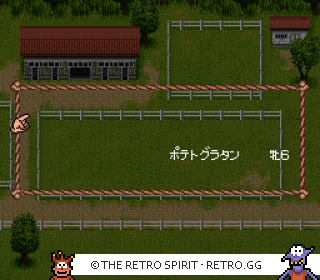 Game screenshot of Derby Stallion II