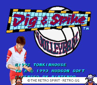 Game screenshot of Dig & Spike Volleyball