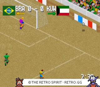 Game screenshot of Fever Pitch Soccer