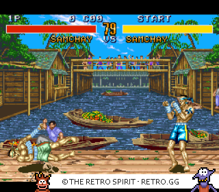 Game screenshot of Fighter's History