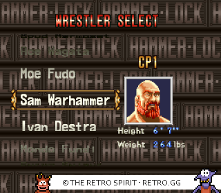 Game screenshot of HammerLock Wrestling