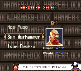 Game screenshot of HammerLock Wrestling