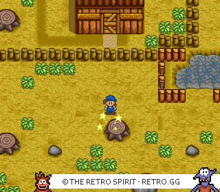 Game screenshot of Harvest Moon