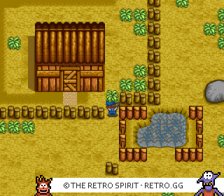 Game screenshot of Harvest Moon