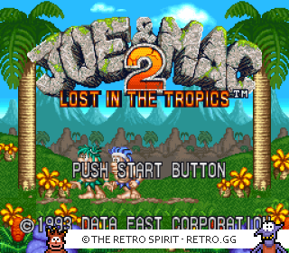 Game screenshot of Joe & Mac 2: Lost in the Tropics