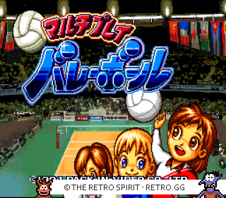 Game screenshot of Multi Play Volleyball