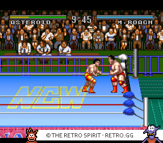 Game screenshot of Natsume Championship Wrestling