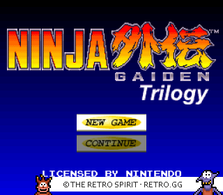 Game screenshot of Ninja Gaiden Trilogy