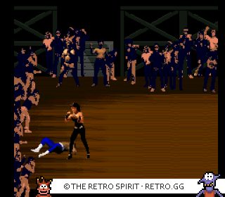 Game screenshot of Pit-Fighter