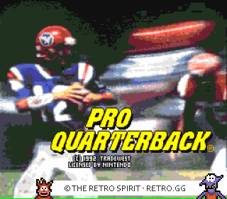 Game screenshot of Pro Quarterback