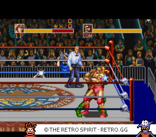 Game screenshot of Saturday Night Slam Masters