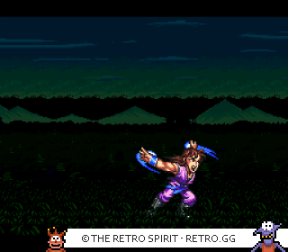 Game screenshot of SD Hiryuu no Ken