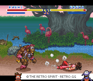 Game screenshot of SD Hiryuu no Ken