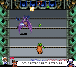 Game screenshot of Pocky & Rocky