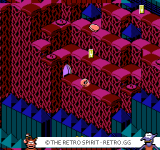 Game screenshot of Snake Rattle 'n' Roll