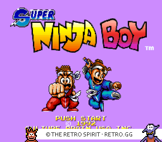 Game screenshot of Super Ninja Boy