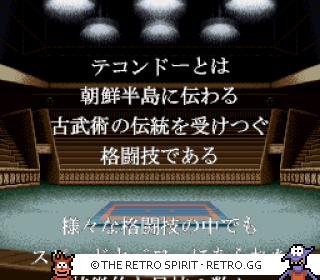 Game screenshot of Taekwon-Do