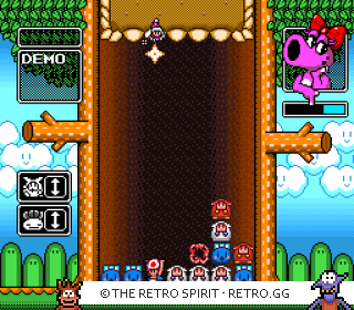 Game screenshot of Wario's Woods