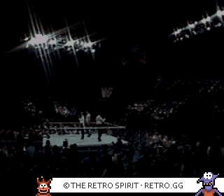 Game screenshot of WWF Super WrestleMania