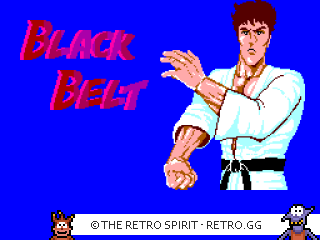 Game screenshot of Black Belt