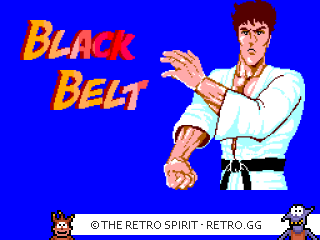 Game screenshot of Black Belt