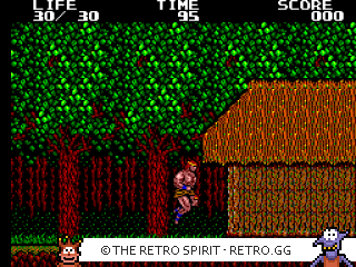 Game screenshot of Danan: The Jungle Fighter