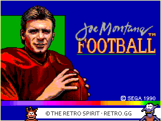 Game screenshot of Joe Montana Football