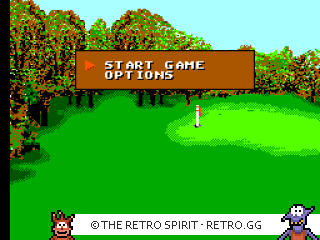 Game screenshot of Sega World Tournament Golf