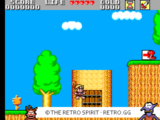 Game screenshot of Wonder Boy in Monster Land