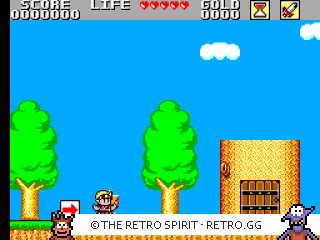 Game screenshot of Wonder Boy in Monster Land