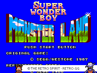 Game screenshot of Wonder Boy in Monster Land