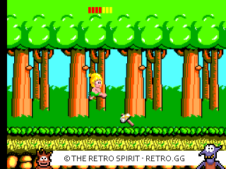 Game screenshot of Wonder Boy