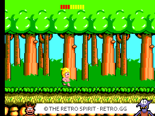 Game screenshot of Wonder Boy