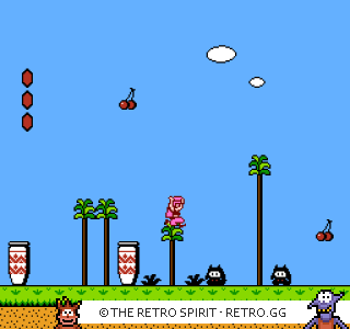 Game screenshot of Yume Kōjō: Doki Doki Panic