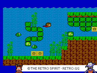 Game screenshot of Alex Kidd in Miracle World