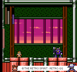 Game screenshot of Mega Man 6