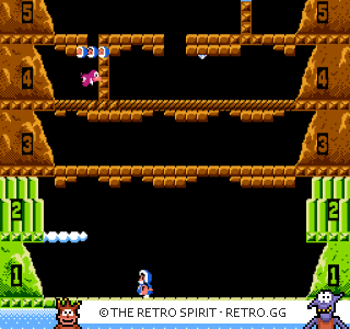 Game screenshot of Ice Climber