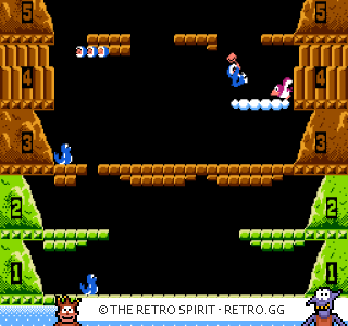 Game screenshot of Ice Climber