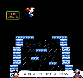 Game screenshot of Ice Climber