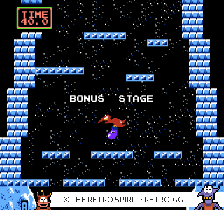 Game screenshot of Ice Climber