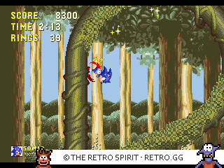 Game screenshot of Sonic & Knuckles