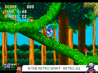 Game screenshot of Sonic & Knuckles