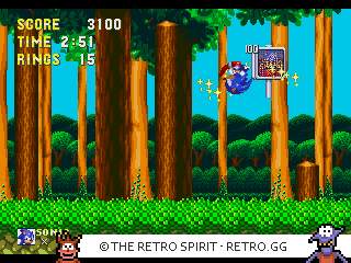 Game screenshot of Sonic & Knuckles