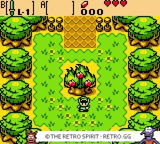 Game screenshot of The Legend of Zelda: Oracle of Ages