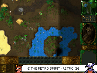 Game screenshot of Rage of Mages